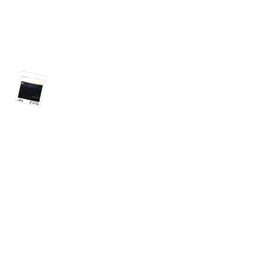 iMG Logo